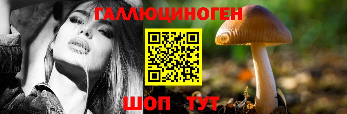 Минусинск  Псилоцибиновые грибы MAGIC MUSHROOMS  Вход с VPN 